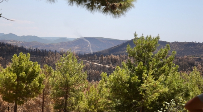 Manavgat'ta yanan ormanlık alanlarda hasar tespit çalışmaları sürüyor