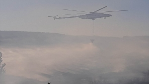 Manisa'da çıkan orman yangını kontrol altına alındı