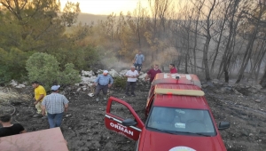 Manisa'da çıkan orman yangınına müdahale ediliyor