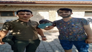 Marmaris'te orman yangınından yaralı kurtarılan hayvanların bir kısmının tedavisi tamamlandı 