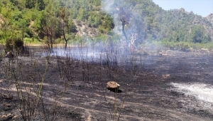 Mersin'de çalılıkta çıkan yangın ormana sıçramadan kontrol altına alındı