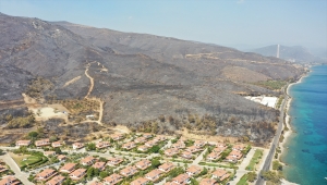 Milas'taki orman yangınına havadan yoğun müdahale yapılıyor 