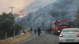 Milas'taki yangını kontrol altına alma çalışmaları sürüyor