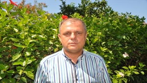 Muğla'da yangının arıcılık sektörü ve bal üretimine etkilerine ilişkin çalışma yapılıyor 