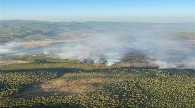 Muğla'nın Kavaklıdere ilçesindeki orman yangınına müdahale sürüyor
