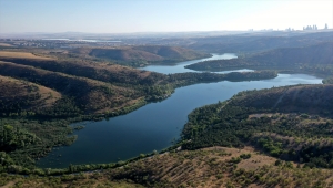 ODTÜ Eymir Gölü'nde siyanobakterideki aşırı artışı anbean takip edip önlem alıyor