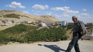 Ömrünü doğaya adayan Mardinli Şeyhmus amcadan "fidan dikin" çağrısı 