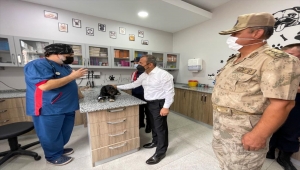 Ordu'da köpeği motosikletin arkasına bağlayıp eziyet eden kişi yakalandı 