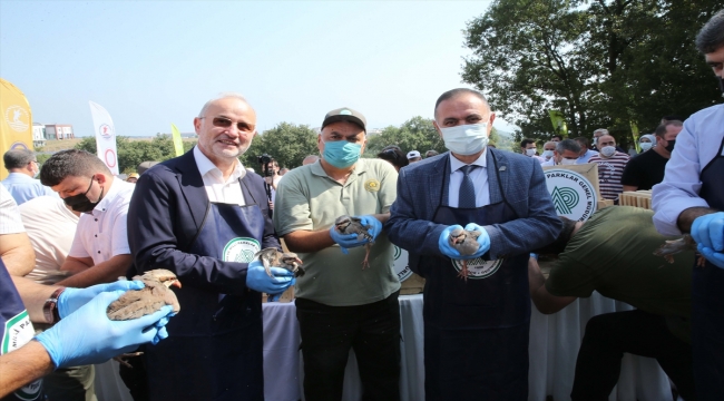 Samsun'da üniversite yerleşkesine 500 sülün ve kınalı keklik bırakıldı