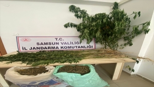 Samsun'da uyuşturucu operasyonunda 14 kişi gözaltına alındı