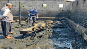 Şanlıurfa'da ahırda çıkan yangında 25 küçükbaş hayvan telef oldu