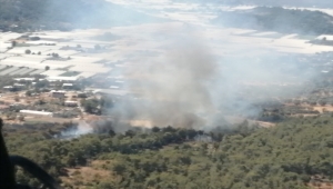 Seydikemer'de orman yangını başladı