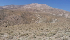 Süphan Dağı'nda kaybolan turisti arama çalışmaları devam ediyor