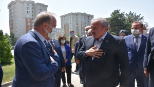 TBMM Başkanı Şentop: "Yanan her ağaç, kaybettiğimiz her can yüreğimizi çok acıttı"