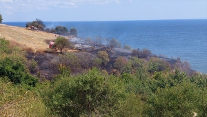 Tekirdağ'da otluk alanda çıkan yangın evlere sıçramadan söndürüldü