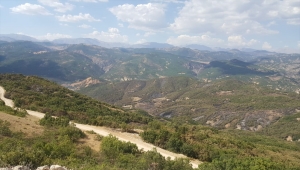 Tunceli'nin Hozat ilçesinde teröristlerce çıkarılan örtü yangını söndürüldü