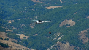Tunceli Valisi Mehmet Ali Özkan, örtü yangınının sürdüğü bölgede incelemede bulundu: