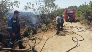 Zonguldak'ta ormanlık alanda çıkan yangın büyümeden söndürüldü