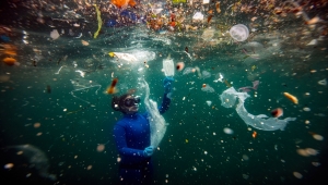 AA foto muhabiri Şebnem Coşkun'a The Nature Conservancy uluslararası fotoğraf yarışmasında üçüncülük ödülü 