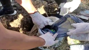 Adana'da patlıcan ve biber ekili tarlada toprağa gömülü uyuşturucu ele geçirildi