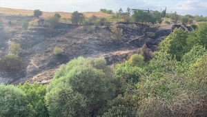 Adıyaman'da tarladan ormanlık alana sıçrayan yangın kontrol altına alındı