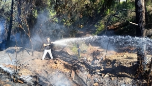 Alanya'da zirai alanda çıkan yangın söndürüldü