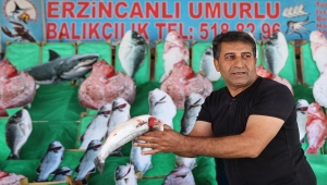 Av sezonunun açılmasıyla balıklar tezgahlardaki yerlerini almaya başladı