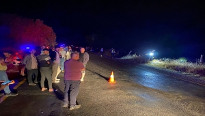 Aydın'da uçuruma devrilen kamyonetin sürücüsü öldü