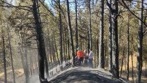 Bingöl'de ormanlık alanda çıkan yangın kontrol altına alındı