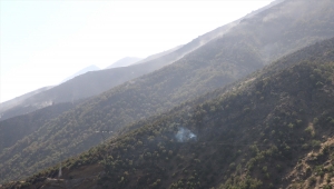 Bitlis Valisi Çağatay, kontrol altına alınan örtü yangınıyla ilgili açıklamada bulundu: