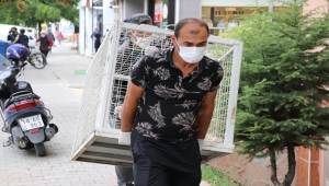 Bolu'da kapısı çilingir yardımıyla açılan daireden 50 kedi çıkarıldı