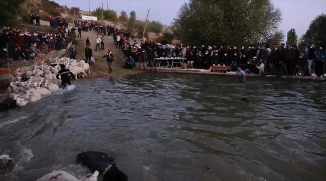 Burdur'da 750 yıllık "sudan koyun geçirme" geleneği renkli görüntülere sahne oldu