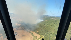 Çanakkale'de çıkan orman yangınına müdahale ediliyor