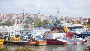 Düzce'de balıkçılar limana binlerce palamutla döndü