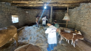 Erzincan'da saman yığınının altında kalan kadın hayatını kaybetti