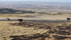 Erzurum'da Palandöken Dağı'ndaki anız yangını ekiplerin müdahalesiyle söndürüldü