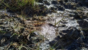 Erzurum'da soğuk hava nedeniyle dere buz tuttu