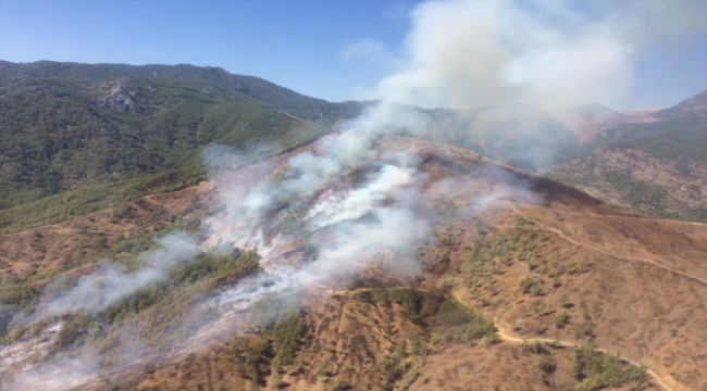 GÜNCELLEME - Mersin'in Anamur ilçesinde çıkan orman yangını kontrol altına alındı
