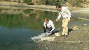 Hatay'da 211 bin 775 balık yavrusu gölet ve barajlara bırakıldı
