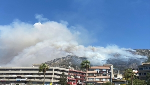 Hatay'da çıkan orman yangınına müdahale ediliyor 
