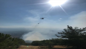 İzmir'de ormanlık alanda çıkan yangın kontrol altına alındı