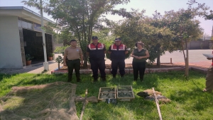 Kahramanmaraş'ta tuzakla saka kuşu avlayan 2 kişiye 43 bin lira ceza