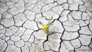 Kayseri'de bulunan Yay Gölü'nde eylülde de kuraklık hakim