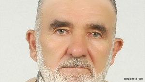 Kayseri'de ceviz ağacından düşen 78 yaşındaki kişi öldü