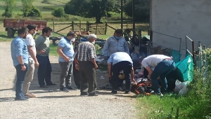 Kocaeli'de cenazeye gidenleri taşıyan otomobil ile kamyon çarpıştı: 1 ölü, 3 yaralı