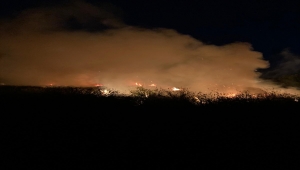 Köyceğiz'de sazlık alanında çıkan yangın söndürüldü
