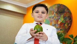 Küçük doğasever evinde tropikal meyve tohumlarından fidan yetiştiriyor