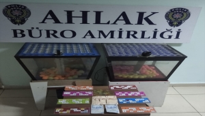 Malatya'da kumar oynayan 51 kişiye para cezası uygulandı