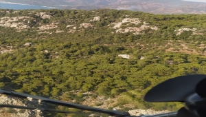 Marmaris'te çıkan orman yangınına müdahale ediliyor