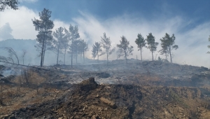 Mersin Anamur'da çıkan yangın kontrol altına alındı 